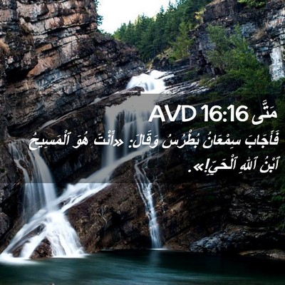 Picture 02 - مَتَّى 16:16 AVD - فَأَجَابَ سِمْعَانُ - Bible Verse Picture