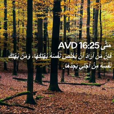 Picture 02 - مَتَّى 16:25 AVD - فَإِنَّ مَنْ أَرَادَ أَنْ - Bible Verse Picture