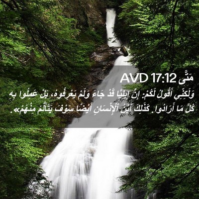Picture 02 - مَتَّى 17:12 AVD - وَلَكِنِّي أَقُولُ لَكُمْ: - Bible Verse Picture