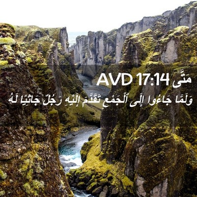 Picture 02 - مَتَّى 17:14 AVD - وَلَمَّا جَاءُوا إِلَى - Bible Verse Picture