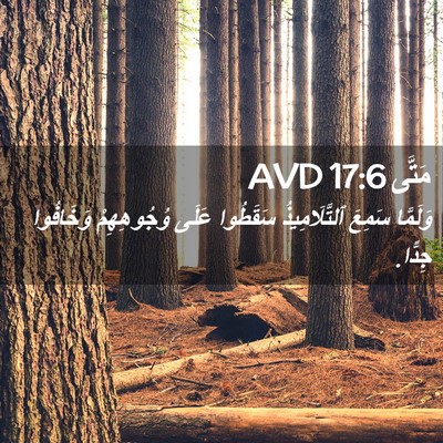 Picture 02 - مَتَّى 17:6 AVD - وَلَمَّا سَمِعَ - Bible Verse Picture