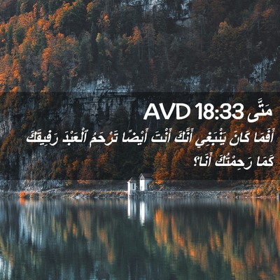 Picture 02 - مَتَّى 18:33 AVD - أَفَمَا كَانَ يَنْبَغِي - Bible Verse Picture