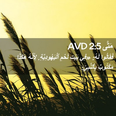 Picture 02 - مَتَّى 2:5 AVD - فَقَالُوا لَهُ: «فِي - Bible Verse Picture
