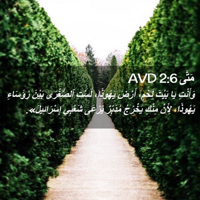 Picture 02 - مَتَّى 2:6 AVD - وَأَنْتِ يا بَيْتَ لَحْمٍ، - Bible Verse Picture