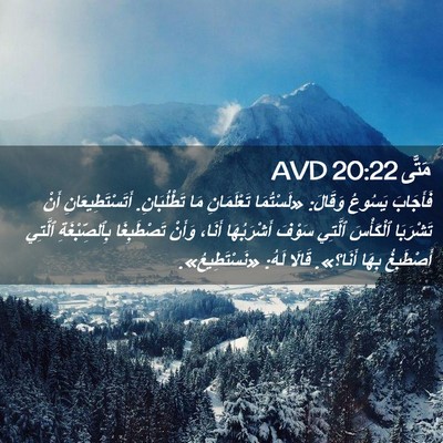 Picture 02 - مَتَّى 20:22 AVD - فَأَجَابَ يَسُوعُ وَقَالَ: - Bible Verse Picture