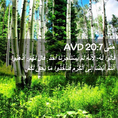 Picture 02 - مَتَّى 20:7 AVD - قَالُوا لَهُ: لِأَنَّهُ - Bible Verse Picture