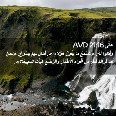 Picture 02 - مَتَّى 21:16 AVD - وَقَالُوا لَهُ: - Bible Verse Picture