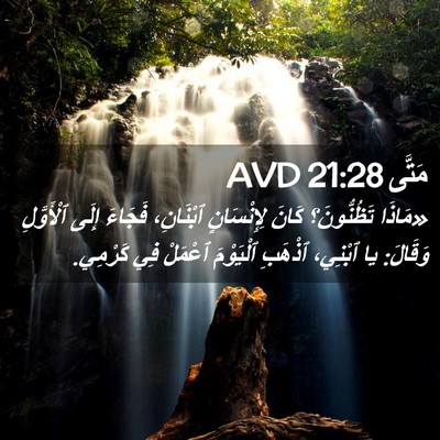 Picture 02 - مَتَّى 21:28 AVD - «مَاذَا تَظُنُّونَ؟ كَانَ - Bible Verse Picture