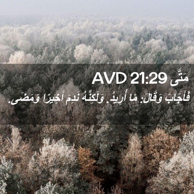 Picture 02 - مَتَّى 21:29 AVD - فَأَجَابَ وَقَالَ: مَا - Bible Verse Picture