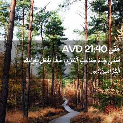 Picture 02 - مَتَّى 21:40 AVD - فَمَتَى جَاءَ صَاحِبُ - Bible Verse Picture