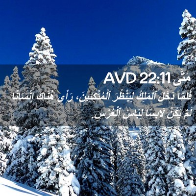 Picture 02 - مَتَّى 22:11 AVD - فَلَمَّا دَخَلَ ٱلْمَلِكُ - Bible Verse Picture