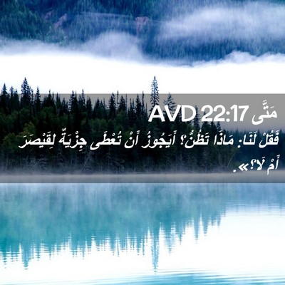 Picture 02 - مَتَّى 22:17 AVD - فَقُلْ لَنَا: مَاذَا - Bible Verse Picture