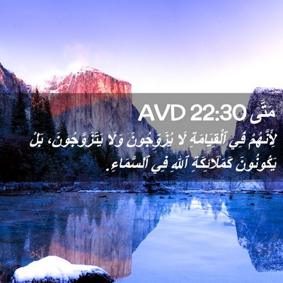Picture 02 - مَتَّى 22:30 AVD - لِأَنَّهُمْ فِي - Bible Verse Picture