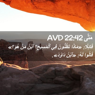Picture 02 - مَتَّى 22:42 AVD - قَائِلًا: «مَاذَا - Bible Verse Picture