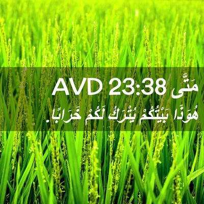 Picture 02 - مَتَّى 23:38 AVD - هُوَذَا بَيْتُكُمْ - Bible Verse Picture