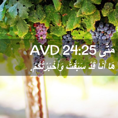 Picture 02 - مَتَّى 24:25 AVD - هَا أَنَا قَدْ سَبَقْتُ - Bible Verse Picture