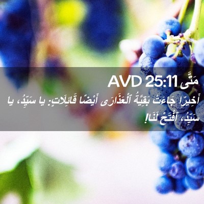 Picture 02 - مَتَّى 25:11 AVD - أَخِيرًا جَاءَتْ - Bible Verse Picture