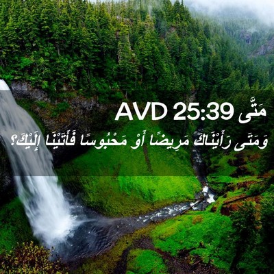Picture 02 - مَتَّى 25:39 AVD - وَمَتَى رَأَيْنَاكَ - Bible Verse Picture