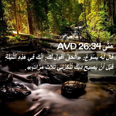 Picture 02 - مَتَّى 26:34 AVD - قَالَ لَهُ يَسُوعُ: - Bible Verse Picture