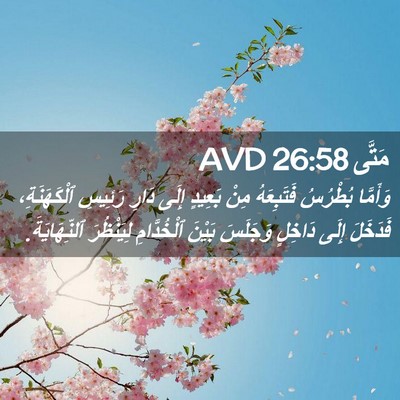 Picture 02 - مَتَّى 26:58 AVD - وَأَمَّا بُطْرُسُ - Bible Verse Picture