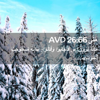 Picture 02 - مَتَّى 26:66 AVD - مَاذَا تَرَوْنَ؟». - Bible Verse Picture