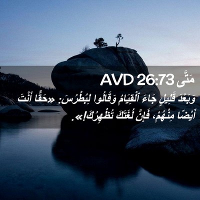 Picture 02 - مَتَّى 26:73 AVD - وَبَعْدَ قَلِيلٍ جَاءَ - Bible Verse Picture