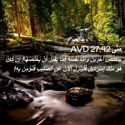 Picture 02 - مَتَّى 27:42 AVD - «خَلَّصَ آخَرِينَ - Bible Verse Picture