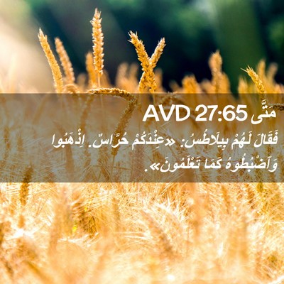 Picture 02 - مَتَّى 27:65 AVD - فَقَالَ لَهُمْ بِيلَاطُسُ: - Bible Verse Picture