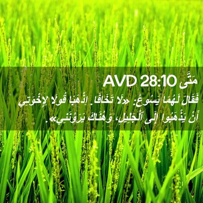 Picture 02 - مَتَّى 28:10 AVD - فَقَالَ لَهُمَا يَسُوعُ: - Bible Verse Picture