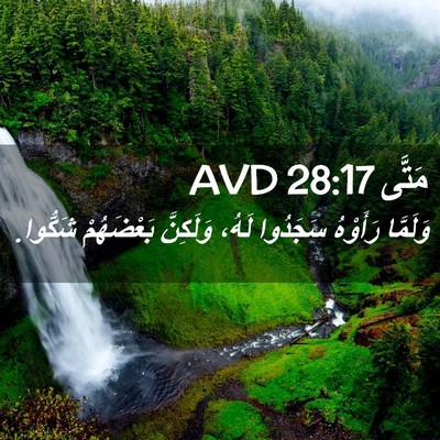 Picture 02 - مَتَّى 28:17 AVD - وَلَمَّا رَأَوْهُ - Bible Verse Picture