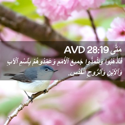 Picture 02 - مَتَّى 28:19 AVD - فَٱذْهَبُوا وَتَلْمِذُوا - Bible Verse Picture