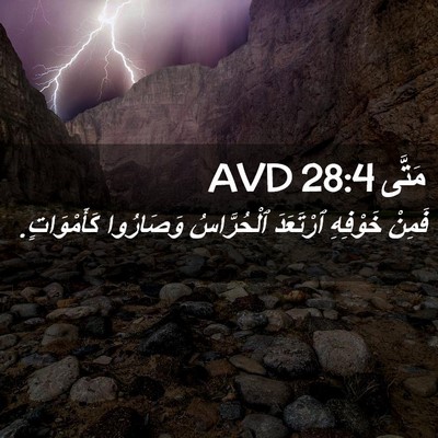 Picture 02 - مَتَّى 28:4 AVD - فَمِنْ خَوْفِهِ ٱرْتَعَدَ - Bible Verse Picture