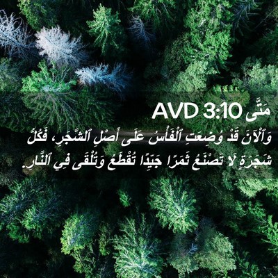 Picture 02 - مَتَّى 3:10 AVD - وَٱلْآنَ قَدْ وُضِعَتِ - Bible Verse Picture