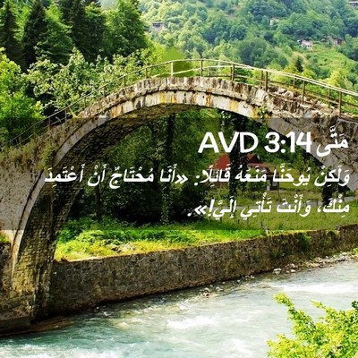 Picture 02 - مَتَّى 3:14 AVD - وَلَكِنْ يُوحَنَّا - Bible Verse Picture