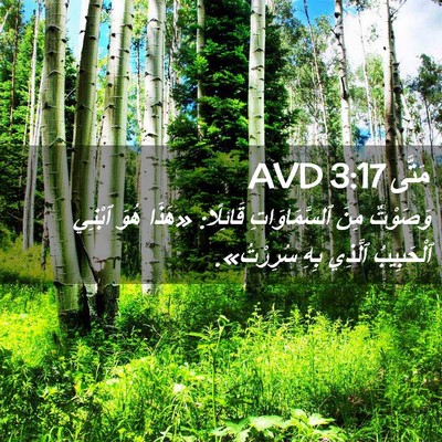 Picture 02 - مَتَّى 3:17 AVD - وَصَوْتٌ مِنَ - Bible Verse Picture