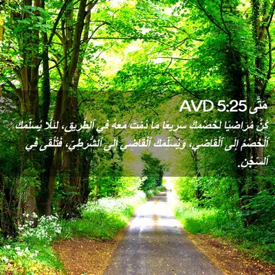 Picture 02 - مَتَّى 5:25 AVD - كُنْ مُرَاضِيًا - Bible Verse Picture