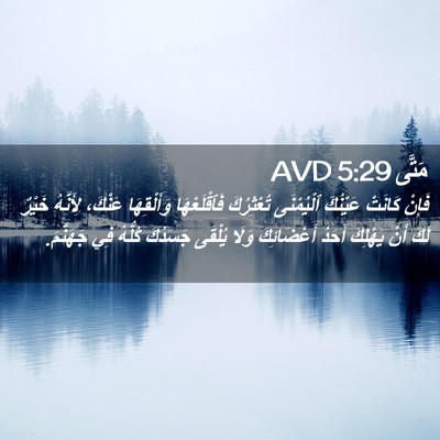 Picture 02 - مَتَّى 5:29 AVD - فَإِنْ كَانَتْ عَيْنُكَ - Bible Verse Picture