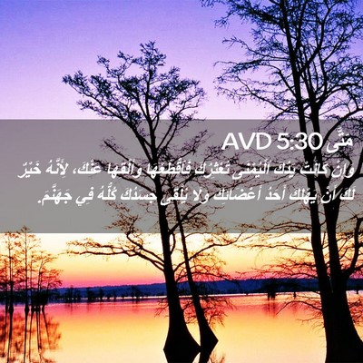 Picture 02 - مَتَّى 5:30 AVD - وَإِنْ كَانَتْ يَدُكَ - Bible Verse Picture