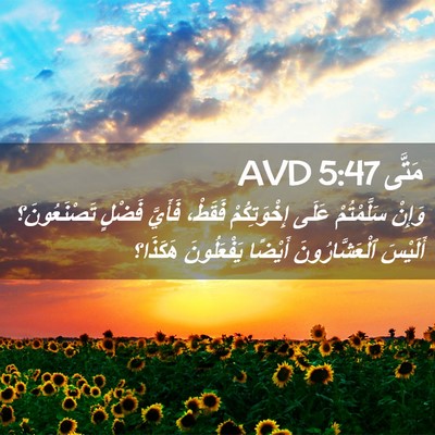 Picture 02 - مَتَّى 5:47 AVD - وَإِنْ سَلَّمْتُمْ عَلَى - Bible Verse Picture