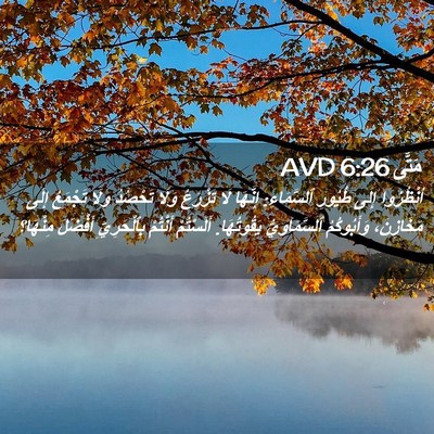 Picture 02 - مَتَّى 6:26 AVD - اُنْظُرُوا إِلَى طُيُورِ - Bible Verse Picture