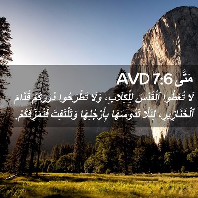 Picture 02 - مَتَّى 7:6 AVD - لَا تُعْطُوا ٱلْقُدْسَ - Bible Verse Picture