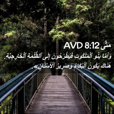 Picture 02 - مَتَّى 8:12 AVD - وَأَمَّا بَنُو - Bible Verse Picture