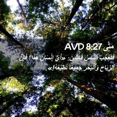 Picture 02 - مَتَّى 8:27 AVD - فَتَعَجَّبَ ٱلنَّاسُ - Bible Verse Picture