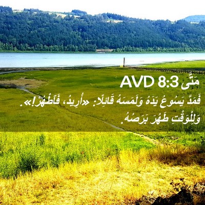 Picture 02 - مَتَّى 8:3 AVD - فَمَدَّ يَسُوعُ يَدَهُ - Bible Verse Picture