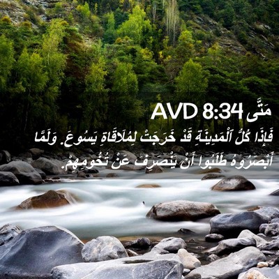 Picture 02 - مَتَّى 8:34 AVD - فَإِذَا كُلُّ - Bible Verse Picture