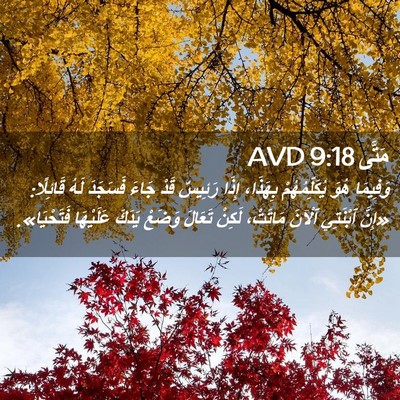Picture 02 - مَتَّى 9:18 AVD - وَفِيمَا هُوَ - Bible Verse Picture