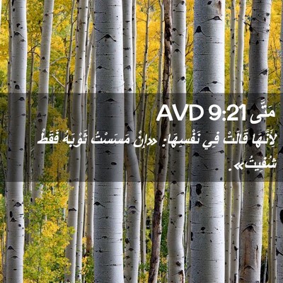 Picture 02 - مَتَّى 9:21 AVD - لِأَنَّهَا قَالَتْ فِي - Bible Verse Picture