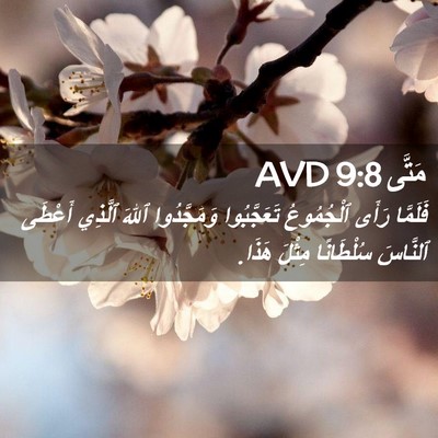Picture 02 - مَتَّى 9:8 AVD - فَلَمَّا رَأَى ٱلْجُمُوعُ - Bible Verse Picture