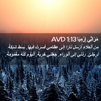 Picture 02 - مَرَاثِي إِرْمِيَا 1:13 AVD - مِنَ ٱلْعَلَاءِ أَرْسَلَ - Bible Verse Picture