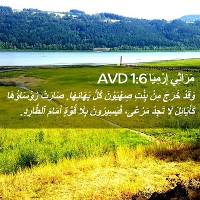 Picture 02 - مَرَاثِي إِرْمِيَا 1:6 AVD - وَقَدْ خَرَجَ مِنْ بِنْتِ - Bible Verse Picture